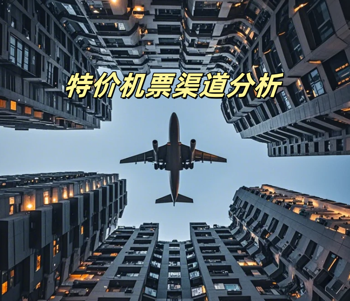 【项目】特价机票渠道分析_小白如何3-5折买任意航空低价机票-凤凰社丨最新网赚项目实操思路分享不定时更新各类网赚项目实操教程