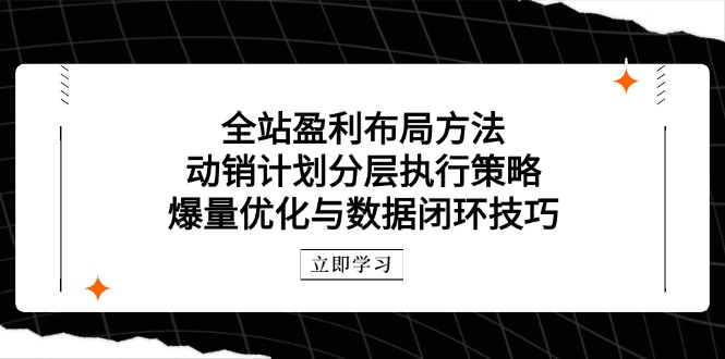 【课程】全站盈利布局方法：动销计划分层执行策略，爆量优化与数据闭环技巧-凤凰社丨最新网赚项目实操思路分享不定时更新各类网赚项目实操教程