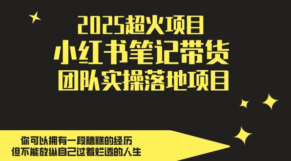 【项目】2025超火项目，副业最佳选择，小红书笔记带货团队实操落地项目，，轻松日入5张-凤凰社丨最新网赚项目实操思路分享不定时更新各类网赚项目实操教程
