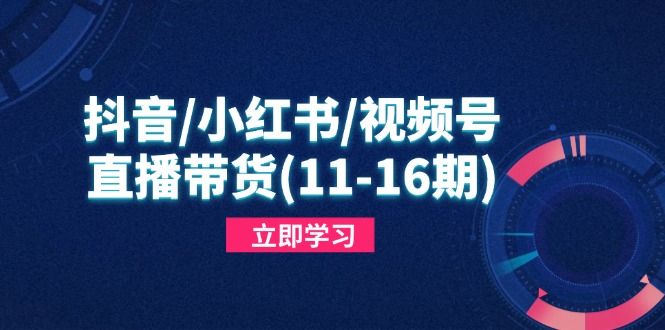 【课程】抖音/小红书/视频号/直播带货(11-16期-凤凰社丨最新网赚项目实操思路分享不定时更新各类网赚项目实操教程