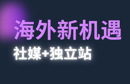 【课程】棕榈·2025出海新机遇(社媒+独立站)-凤凰社丨最新网赚项目实操思路分享不定时更新各类网赚项目实操教程