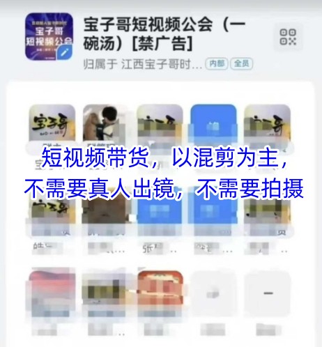 【课程】宝子哥头部团队短视频带货，以混剪为主，不需要真人出镜，不需要拍摄【更新】-凤凰社丨最新网赚项目实操思路分享不定时更新各类网赚项目实操教程